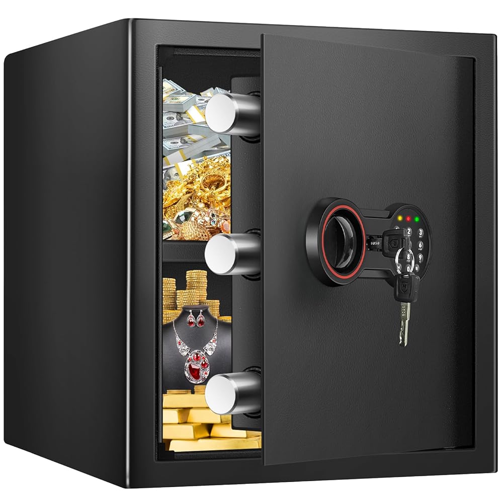 Basic Safe 50ER