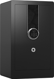 Biometric Safe